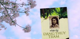 review-sach-nhat-ky-dang-thuy-tram