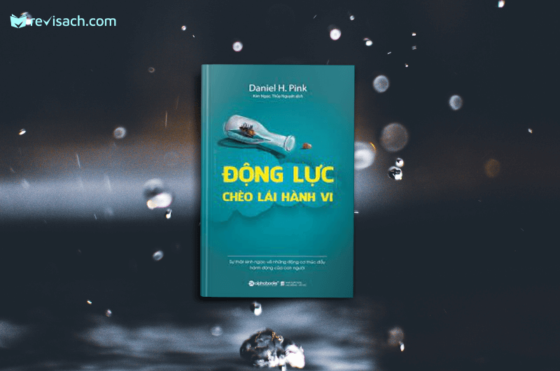 review-sach-dong-luc-cheo-lai-hanh-vi