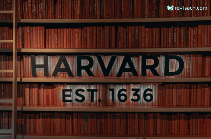 Review Sách: Harvard Bốn Rưỡi Sáng - Bí Kíp Thành Công Của Harvard Dành Cho  Bạn Trẻ