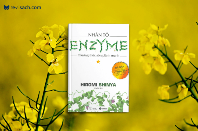 review-sach-nhan-to-enzyme